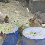 phoca_thumb_m_horeky  54 Fotogalerie